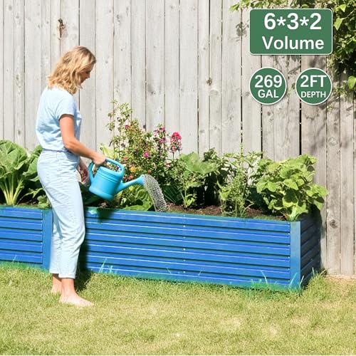 Galvanized Raised Garden Bed 8x4x2ft, Large Metal Planter Box for Outdoor Vegetables, Flowers & Herbs D2106