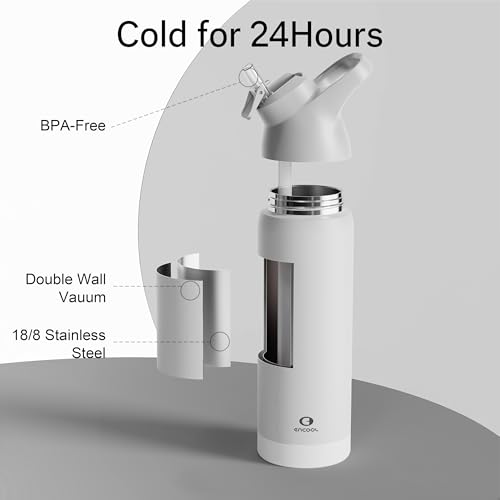 Insulated Water Bottle with Straw, 24 oz, Leakproof, BPA-Free B201134