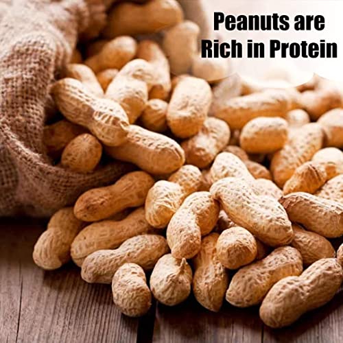 Wildlife Shelled Peanuts, 10 lbs for Birds and Squirrels C82678