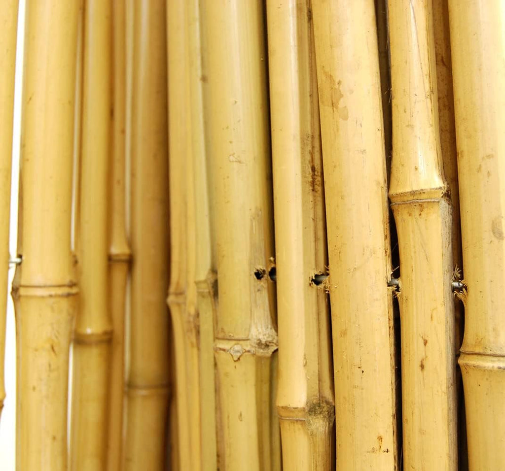 Natural Bamboo Fencing Decorative Rolled Fence Panel F419785