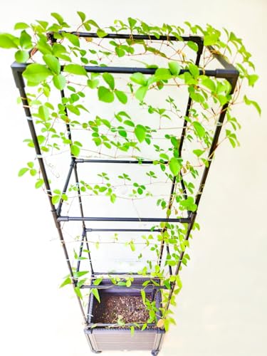 Trellis Planter Box with Caster, 2 Pack, Large Outdoor Garden Planter for Climbing Plants and Vegetables V478381