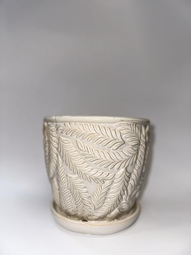 White 7 Inch Indoor Ceramic Planter Pot with Saucer and Drainage Hole N2399