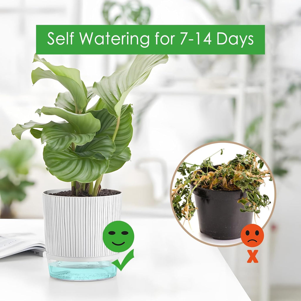 Self-Watering Pots for Indoor Plants with Wick Rope M4241