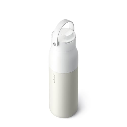 Insulated Stainless Steel Water Bottle with Silicone Handle, 34oz Z278258