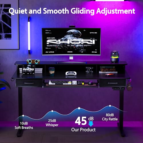 Electric Standing Desk with 2 Drawers, Height Adjustable for Home Office W495