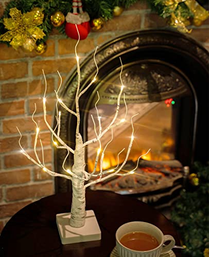 Lighted Birch Tree 4ft with 48 LED, Timer, Warm & Cool White F9132