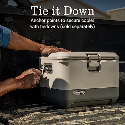 Heavy-Duty 9qt Hard Cooler Lunchbox with Extra-Thick Insulation U388611