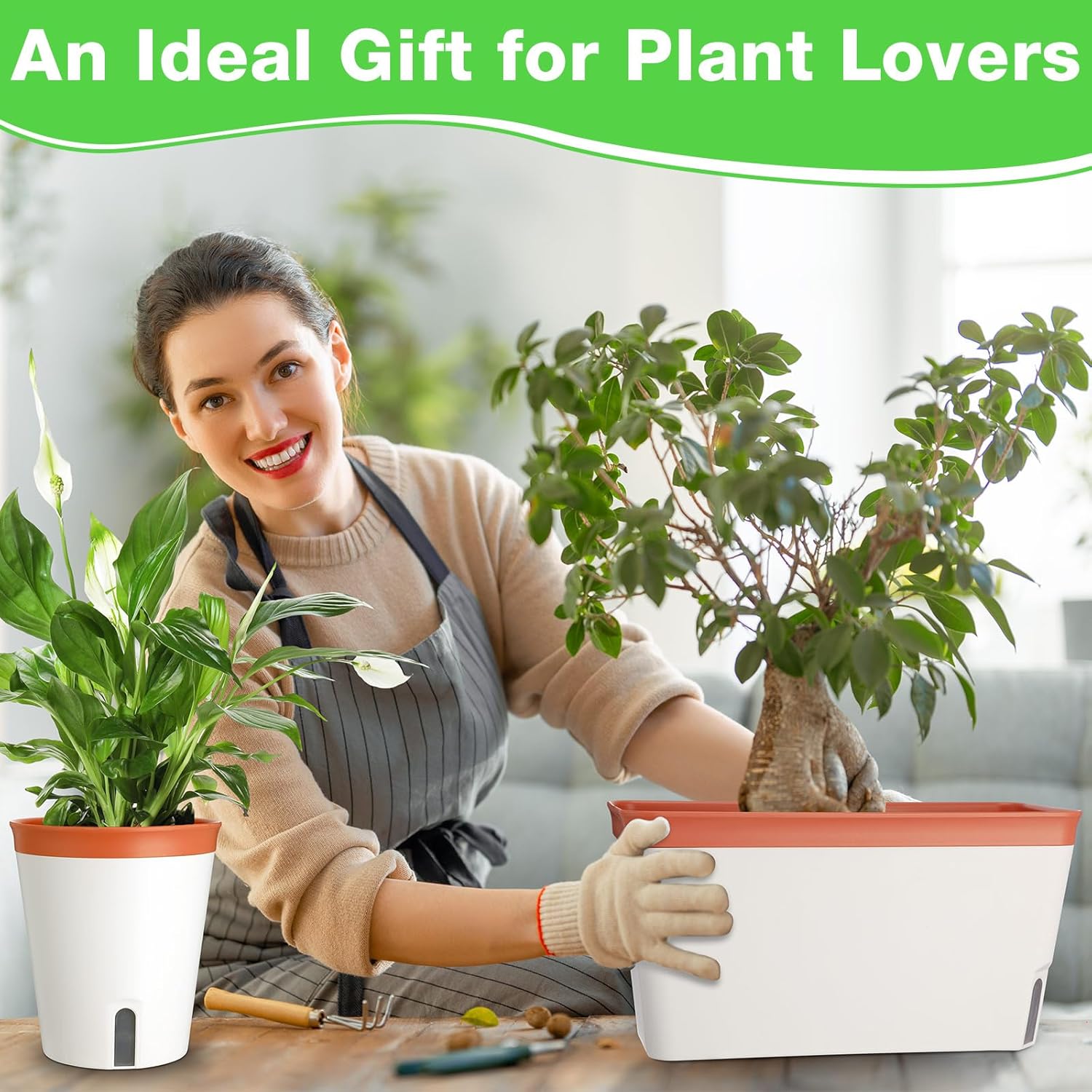 Self Watering Window Planter Box Set for Indoor Plants O11646
