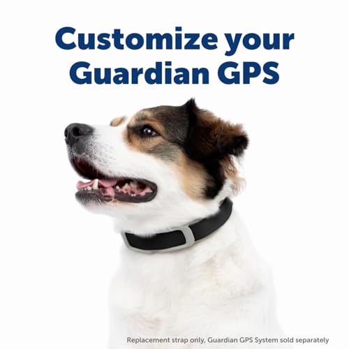 GPS Dog Fence for Yards 3/4 Acres or Larger with Wireless Collar P3787