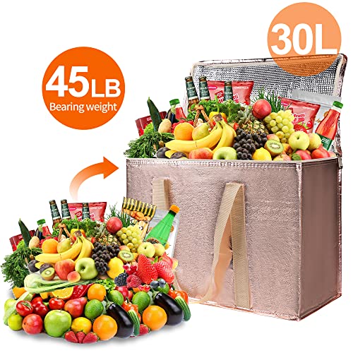 Insulated Food Delivery Bag Hot Cold Meal Carrier F1699