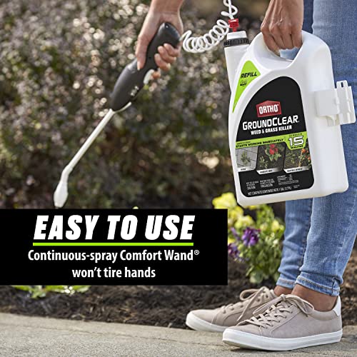 Weed and Grass Killer Concentrate for Landscape Beds, Patios, 32 oz Q66049