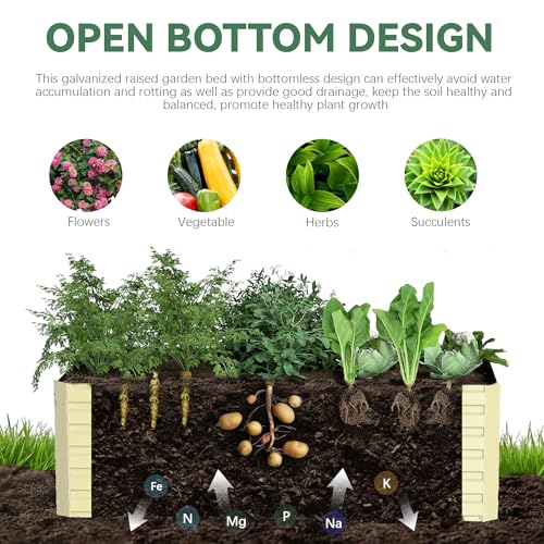 Galvanized Raised Garden Bed 8x4x2ft, Large Metal Planter Box for Outdoor Vegetables, Flowers & Herbs D2106
