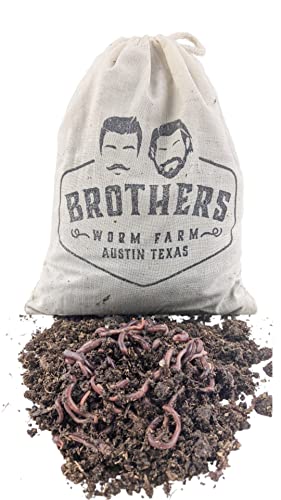 Red Wiggler Compost Worms - 1/2 lb Live Worms for Composting and Gardens T485
