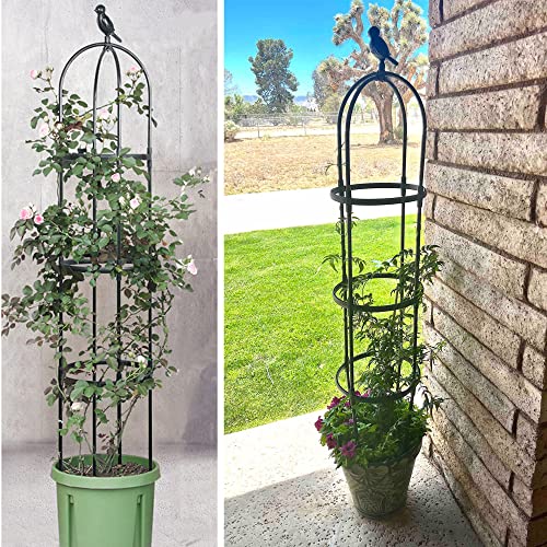 Garden Trellis for Climbing Plants, Rustproof Metal Pipe, 6ft, Indoor Outdoor Plant Support Y969