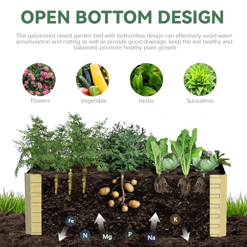 Galvanized Raised Garden Bed 8x4x2ft, Large Metal Planter Box for Outdoor Vegetables, Flowers & Herbs D2106