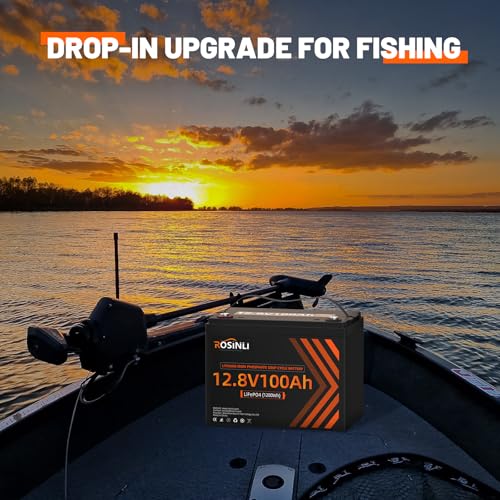 12V 100Ah Group 24 LiFePO4 Battery with 100A BMS, Deep Cycle for RV, Marine, Solar M985