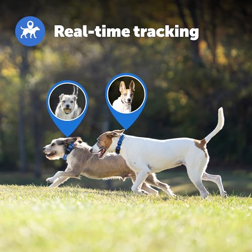 GPS Dog Fence Collar with App Tracking, Waterproof Rechargeable T221556