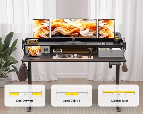 Electric Standing Desk with 2 Drawers, Height Adjustable for Home Office W495