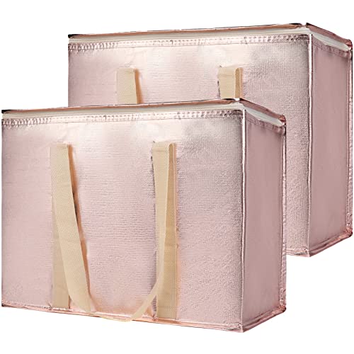 Insulated Food Delivery Bag Hot Cold Meal Carrier F1699