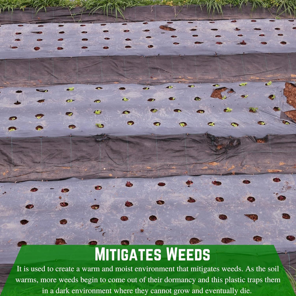 Weed Control 6 Mil Black Plastic Sheeting Heavy Duty Weed Barrier for Outdoor Gardens C402499