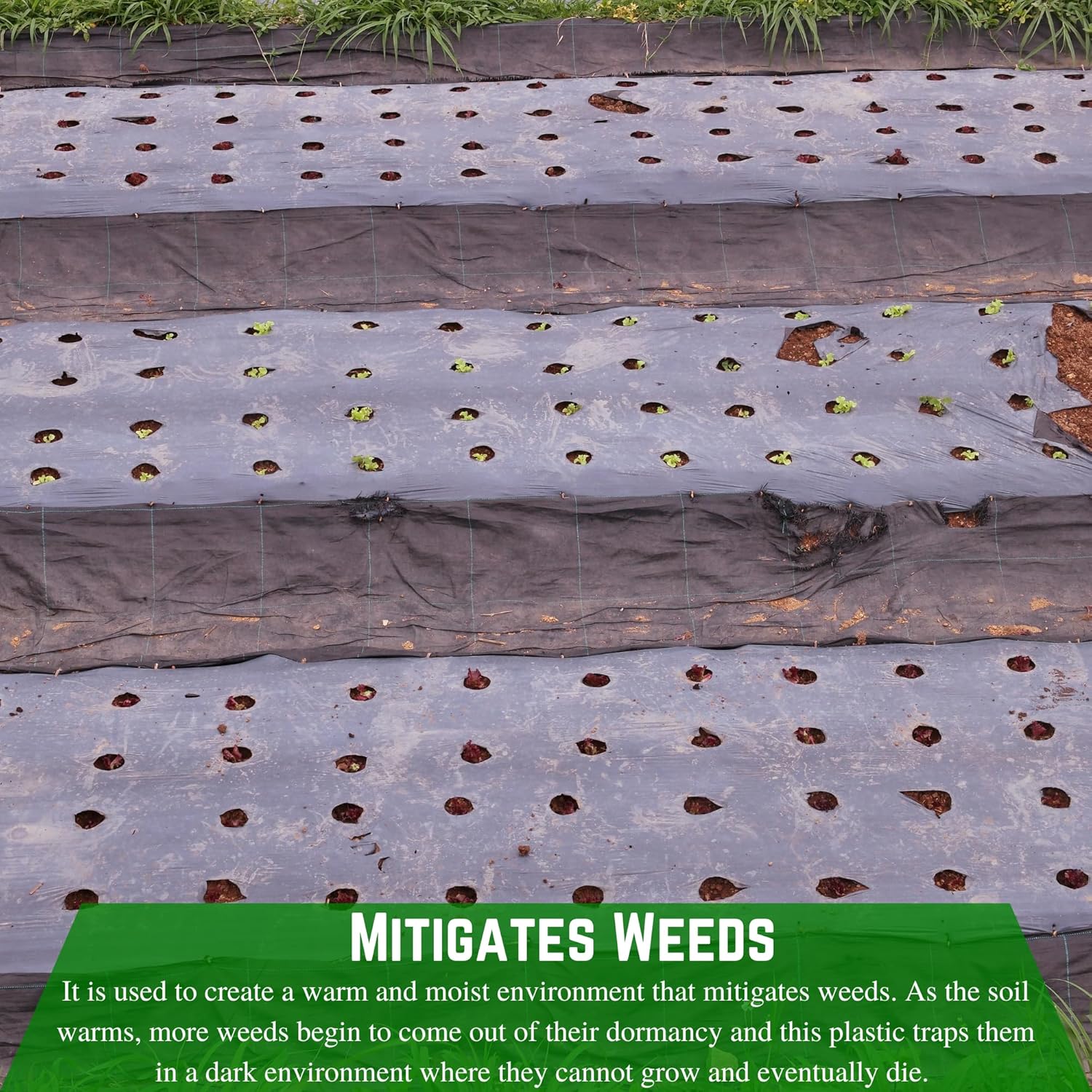 Weed Control 6 Mil Black Plastic Sheeting Heavy Duty Weed Barrier for Outdoor Gardens C402499