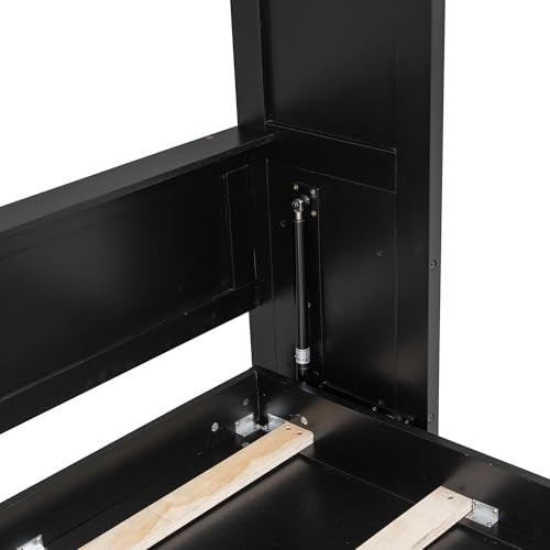 Queen Size Murphy Bed with Cabinet and LED Lights M1232