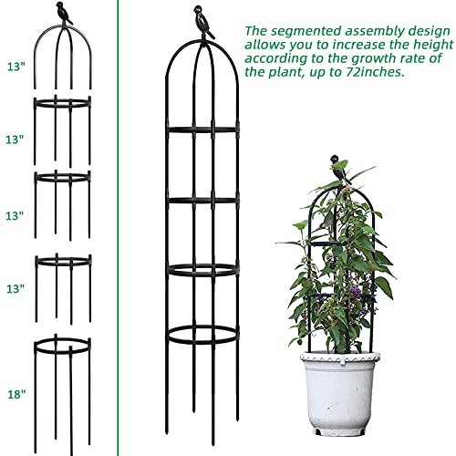 Garden Trellis for Climbing Plants, Rustproof Metal Pipe, 6ft, Indoor Outdoor Plant Support Y969