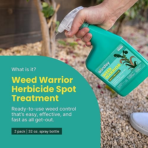 Grass & Weed Killer Spray, 32oz, 2 Pack G555